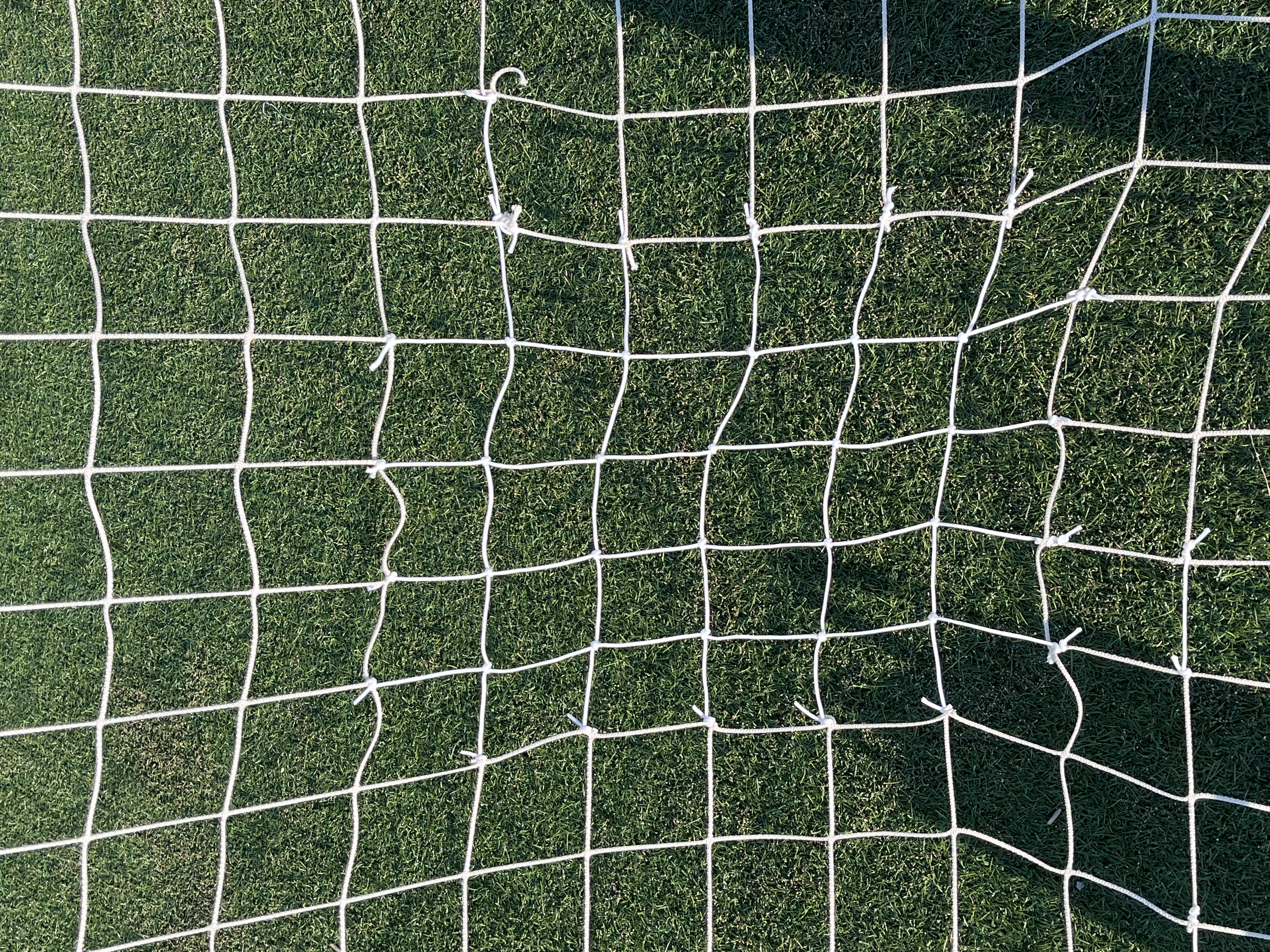 Patched net example